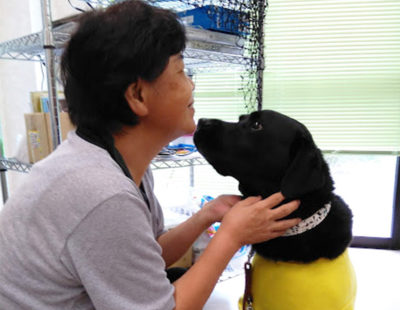 癒しのハッピードッグ、日本サービスドッグ協会